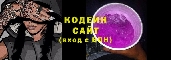индика Осинники