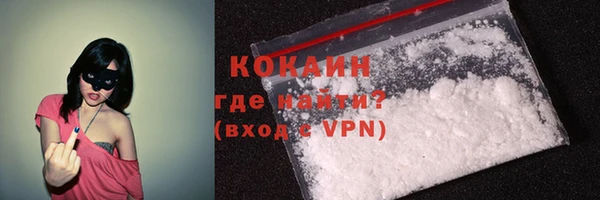шишки Пересвет