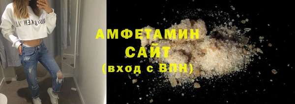 индика Осинники