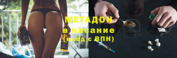 индика Осинники