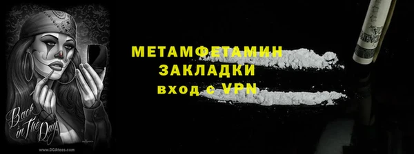 индика Осинники
