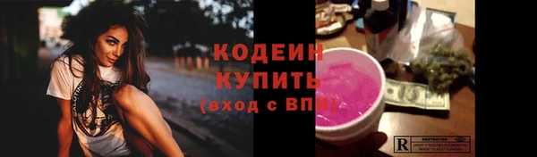 индика Осинники