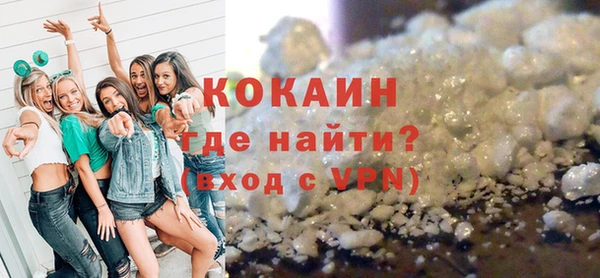 индика Осинники