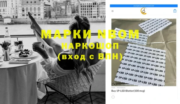индика Осинники