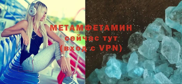 индика Осинники