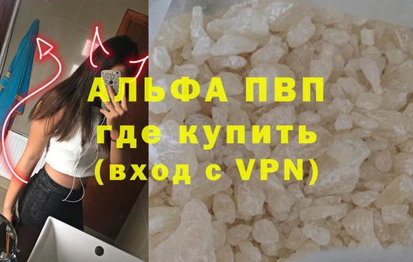 индика Осинники