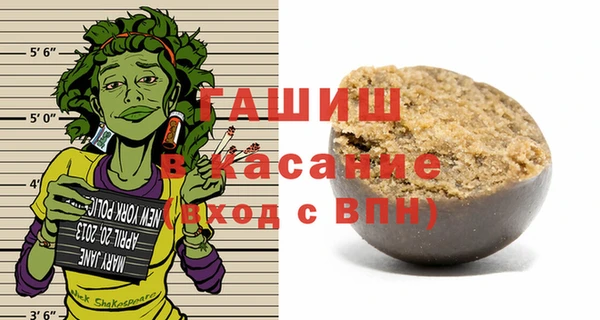 индика Осинники