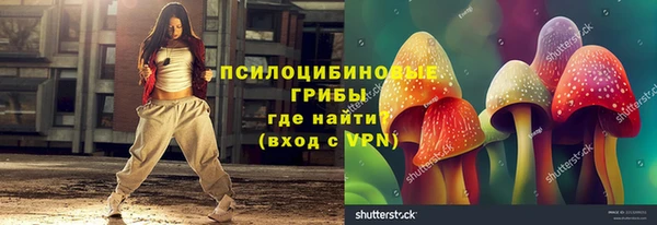 индика Осинники