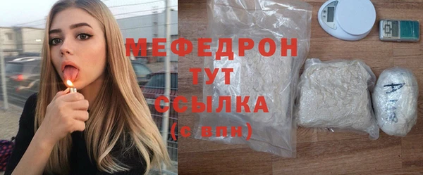 индика Осинники